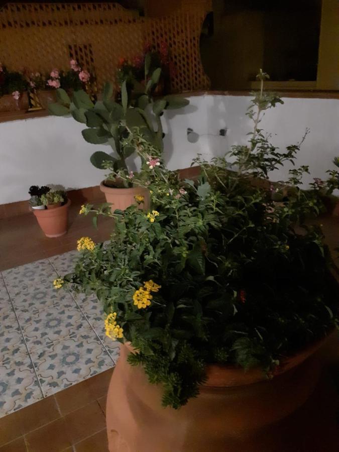 Dolce Far Niente Villa Noto Bagian luar foto